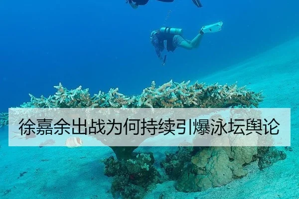 徐嘉余出战为何持续引爆泳坛舆论